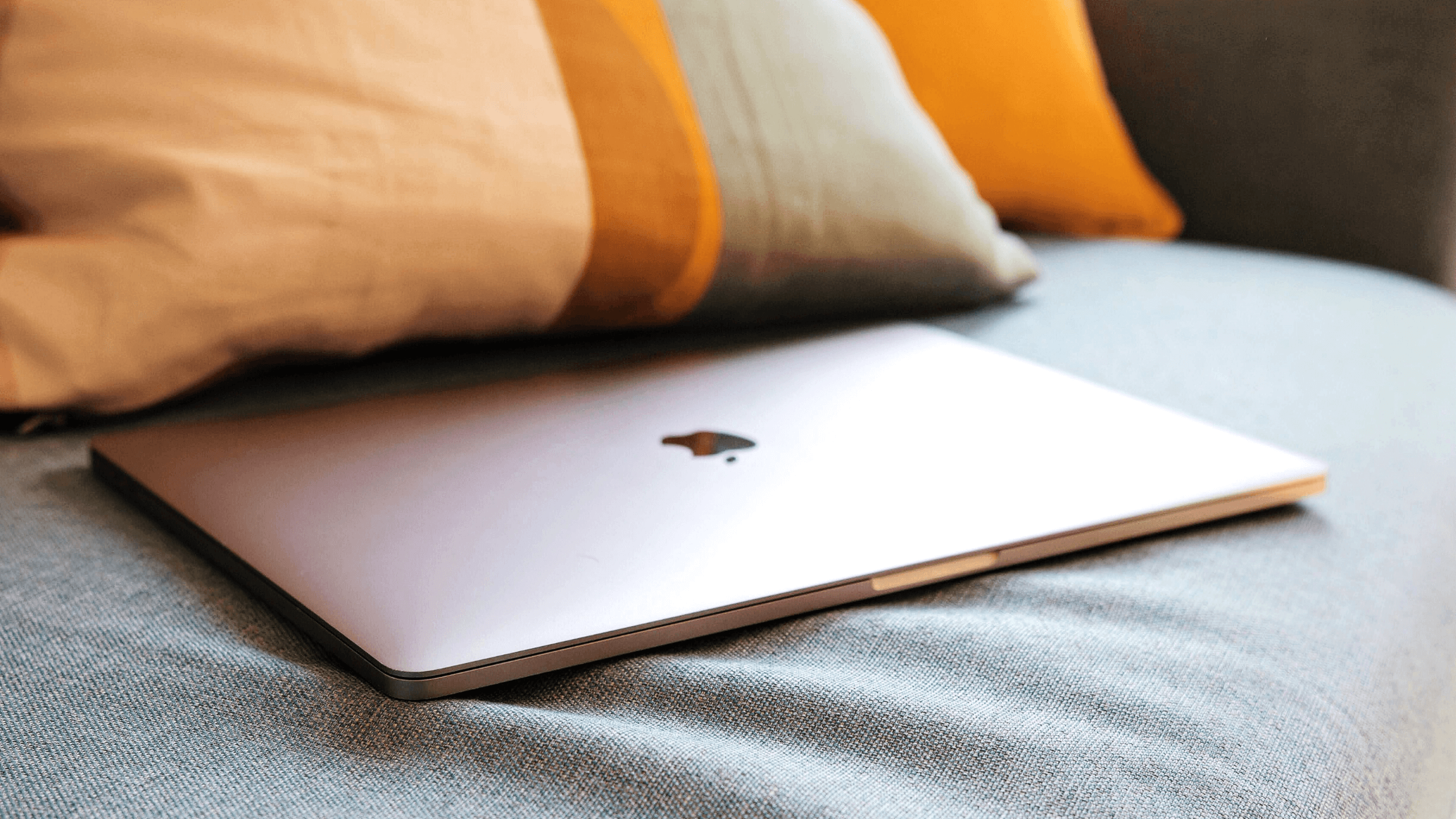 Photo by Elise Bouet on Unsplash.png