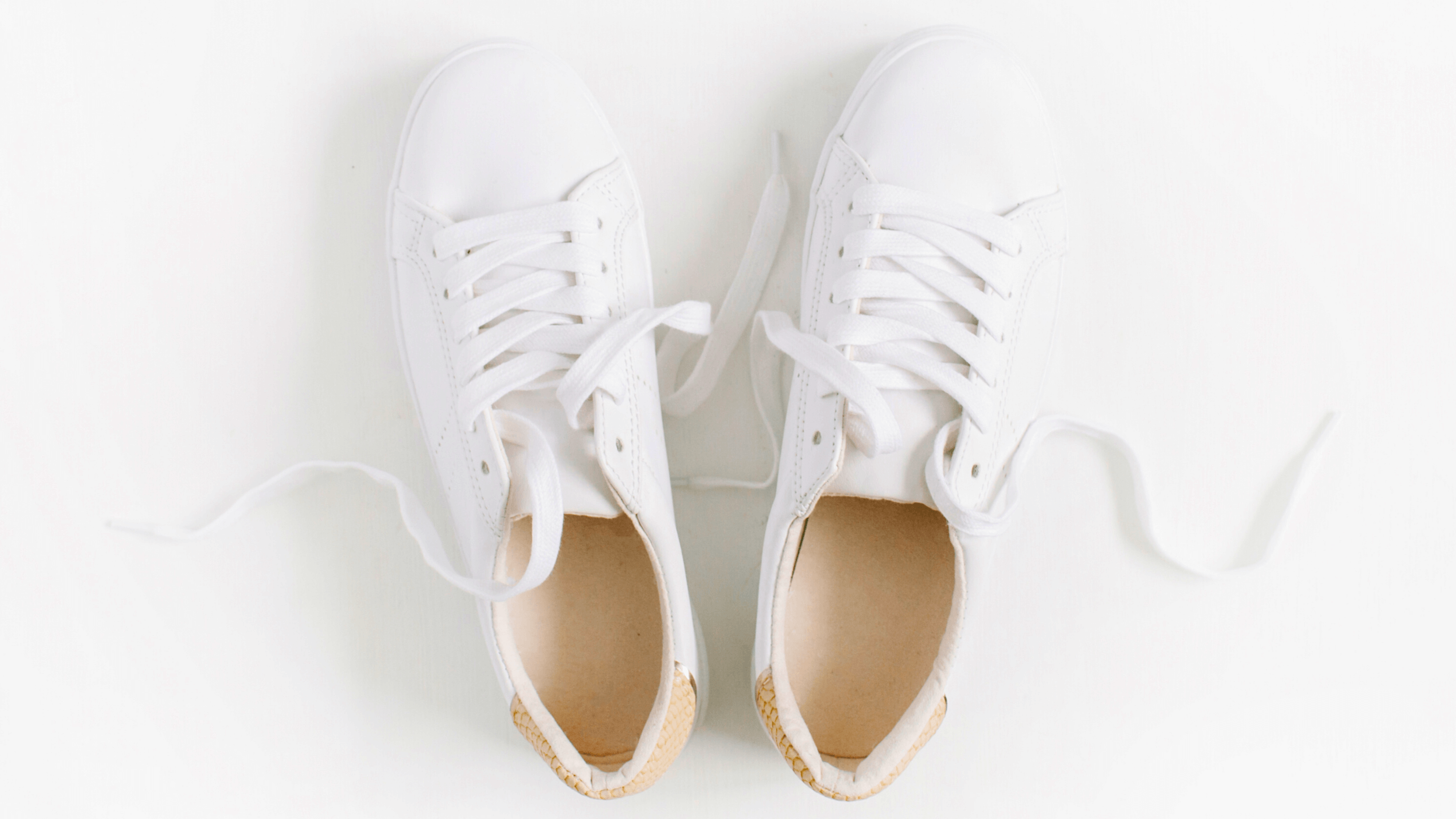 Photo by Floral Deco on Canva.png