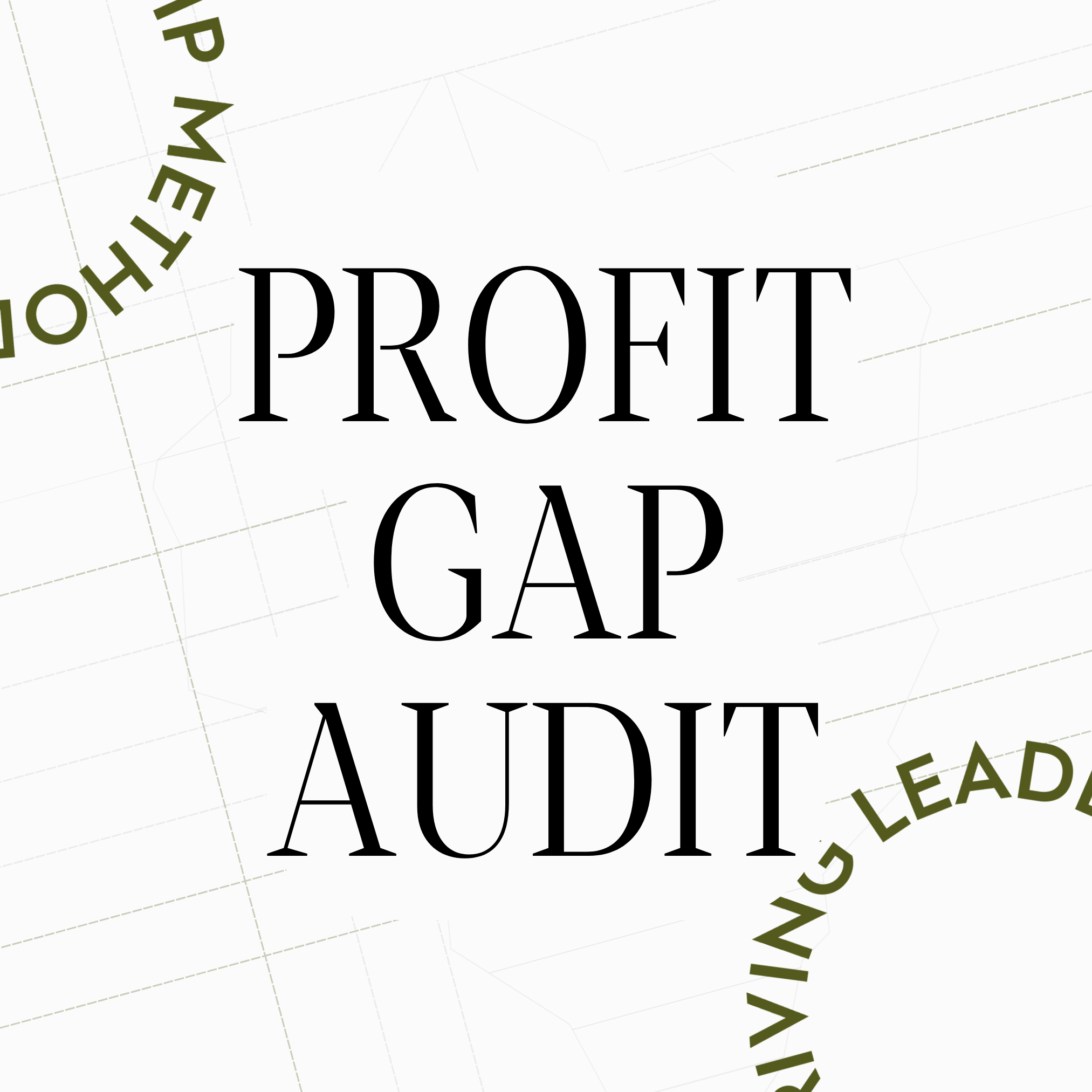Profit Gap Audit